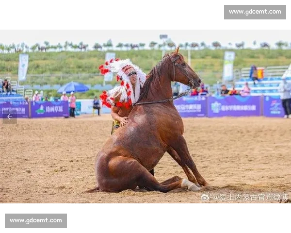 巅峰对决！国内顶级马术赛在邯郸激情开赛