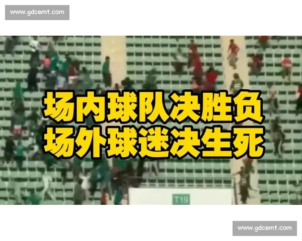 淬炼胜负观，涵养球迷文化